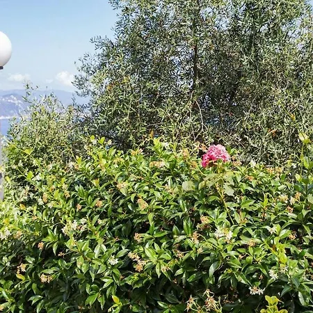Amazing Sea View In Santa Margherita * Genova